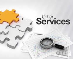 Other Services